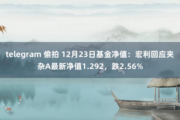 telegram 偷拍 12月23日基金净值：宏利回应夹杂A最新净值1.292，跌2.56%