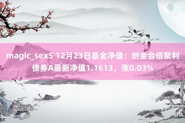 magic_sex5 12月23日基金净值：创金合信聚利债券A最新净值1.1613，涨0.03%