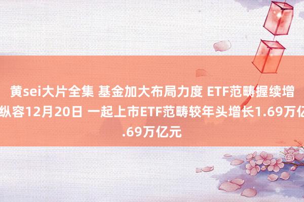 黄sei大片全集 基金加大布局力度 ETF范畴握续增长 纵容12月20日 一起上市ETF范畴较年头增长1.69万亿元