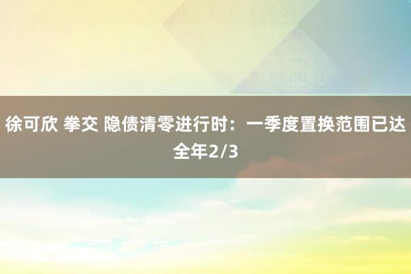 徐可欣 拳交 隐债清零进行时：一季度置换范围已达全年2/3