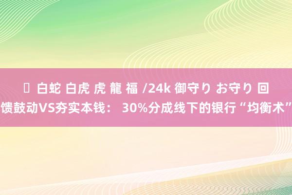 ✨白蛇 白虎 虎 龍 福 /24k 御守り お守り 回馈鼓动VS夯实本钱： 30%分成线下的银行“均衡术”