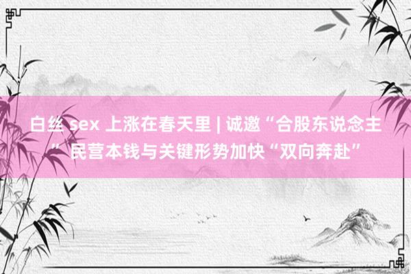 白丝 sex 上涨在春天里 | 诚邀“合股东说念主” 民营本钱与关键形势加快“双向奔赴”