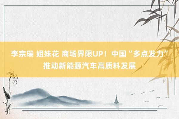 李宗瑞 姐妹花 商场界限UP！中国“多点发力”推动新能源汽车高质料发展