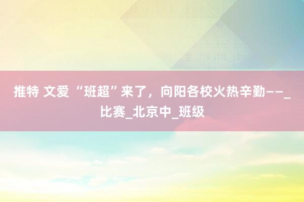 推特 文爱 “班超”来了，向阳各校火热辛勤——_比赛_北京中_班级