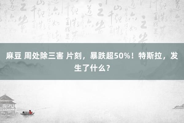 麻豆 周处除三害 片刻，暴跌超50%！特斯拉，发生了什么？