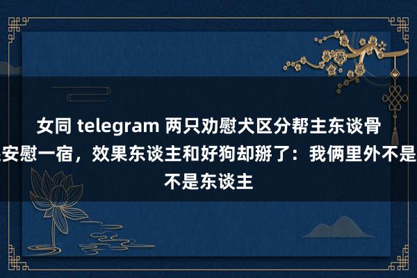 女同 telegram 两只劝慰犬区分帮主东谈骨干仗还安慰一宿，效果东谈主和好狗却掰了：我俩里外不是东谈主