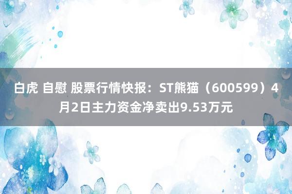白虎 自慰 股票行情快报：ST熊猫（600599）4月2日主力资金净卖出9.53万元