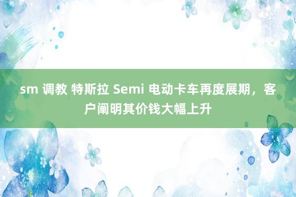 sm 调教 特斯拉 Semi 电动卡车再度展期，客户阐明其价钱大幅上升