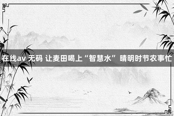 在线av 无码 让麦田喝上“智慧水” 晴明时节农事忙