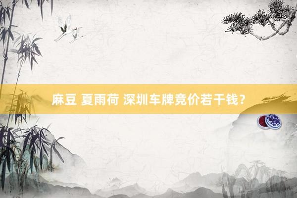 麻豆 夏雨荷 深圳车牌竞价若干钱？