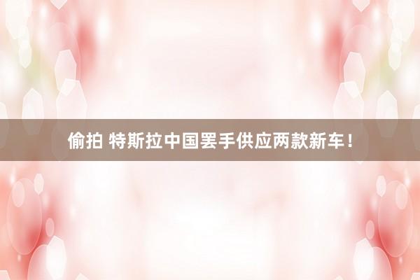 偷拍 特斯拉中国罢手供应两款新车！