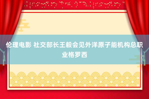 伦理电影 社交部长王毅会见外洋原子能机构总职业格罗西