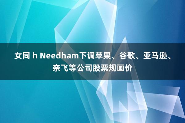 女同 h Needham下调苹果、谷歌、亚马逊、奈飞等公司股票规画价