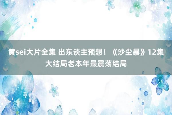 黄sei大片全集 出东谈主预想！《沙尘暴》12集大结局老本年最震荡结局