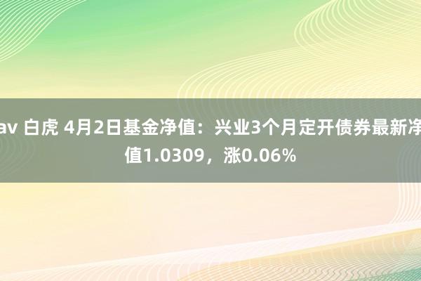 av 白虎 4月2日基金净值：兴业3个月定开债券最新净值1.0309，涨0.06%