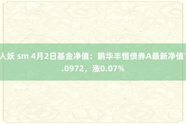 人妖 sm 4月2日基金净值：鹏华丰恒债券A最新净值1.0972，涨0.07%