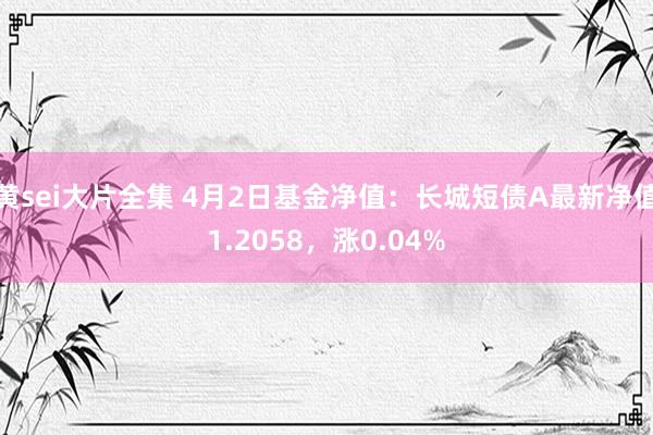 黄sei大片全集 4月2日基金净值：长城短债A最新净值1.2058，涨0.04%