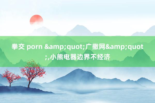 拳交 porn &quot;广撒网&quot;，小熊电器边界不经济