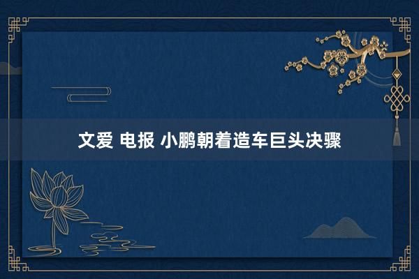 文爱 电报 小鹏朝着造车巨头决骤