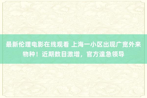 最新伦理电影在线观看 上海一小区出现广宽外来物种！近期数目激增，官方遑急领导