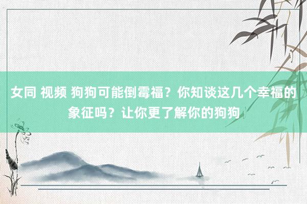 女同 视频 狗狗可能倒霉福？你知谈这几个幸福的象征吗？让你更了解你的狗狗