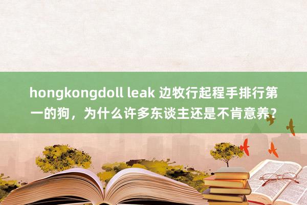 hongkongdoll leak 边牧行起程手排行第一的狗，为什么许多东谈主还是不肯意养？