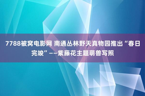7788被窝电影网 南通丛林野天真物园推出“春日完竣”——紫藤花主题萌兽写照