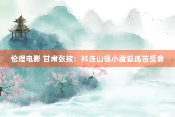 伦理电影 甘肃张掖：祁连山现小藏狐孤苦觅食