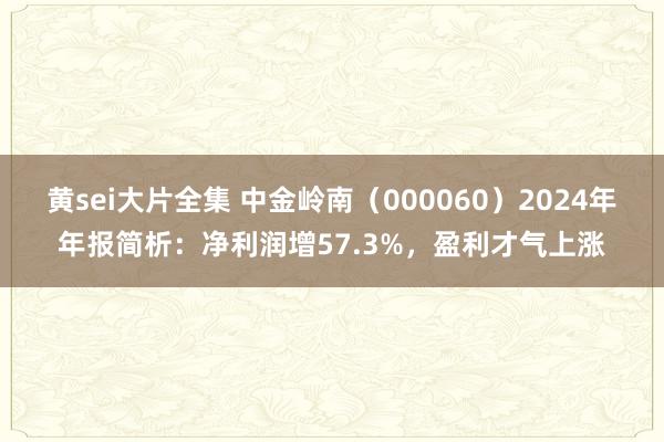 黄sei大片全集 中金岭南（000060）2024年年报简析：净利润增57.3%，盈利才气上涨