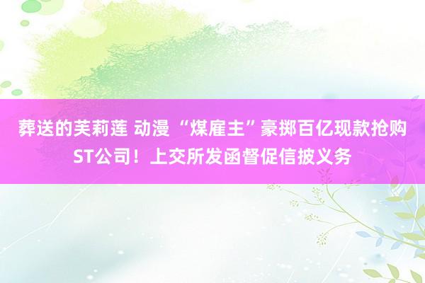 葬送的芙莉莲 动漫 “煤雇主”豪掷百亿现款抢购ST公司！上交所发函督促信披义务