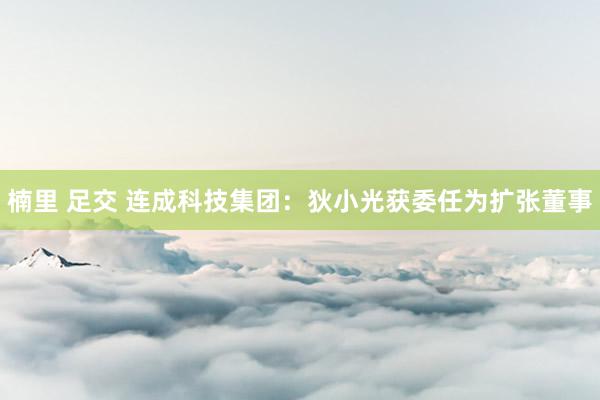 楠里 足交 连成科技集团：狄小光获委任为扩张董事