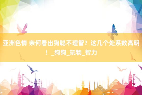 亚洲色情 奈何看出狗聪不理智？这几个处系数高明！_狗狗_玩物_智力