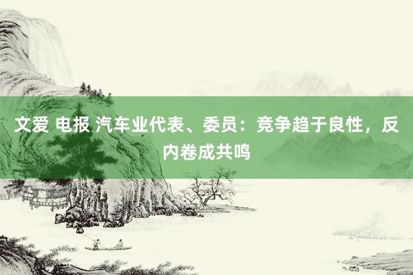 文爱 电报 汽车业代表、委员：竞争趋于良性，反内卷成共鸣