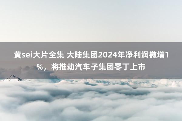 黄sei大片全集 大陆集团2024年净利润微增1%，将推动汽车子集团零丁上市