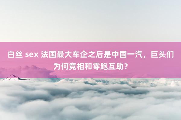 白丝 sex 法国最大车企之后是中国一汽，巨头们为何竞相和零跑互助？
