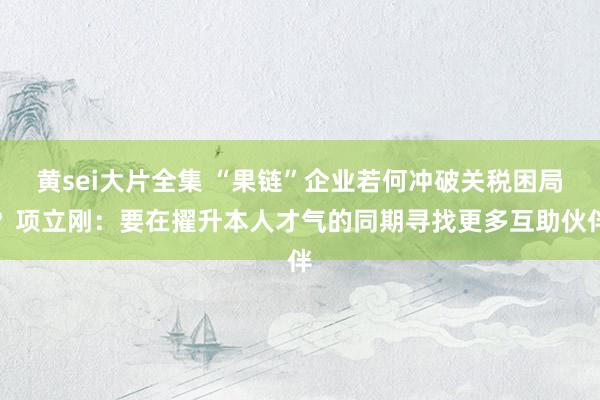 黄sei大片全集 “果链”企业若何冲破关税困局？项立刚：要在擢升本人才气的同期寻找更多互助伙伴