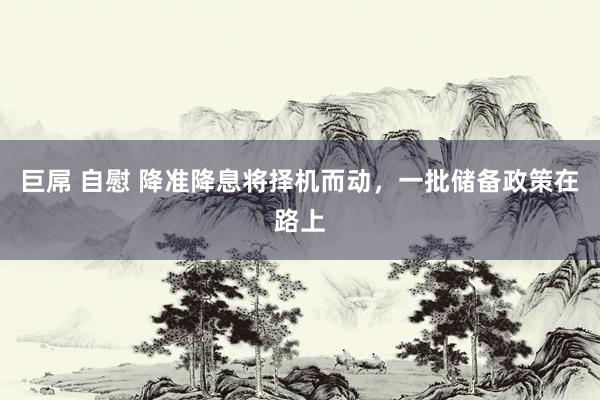 巨屌 自慰 降准降息将择机而动，一批储备政策在路上