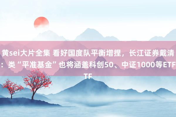 黄sei大片全集 看好国度队平衡增捏，长江证券戴清：类“平准基金”也将涵盖科创50、中证1000等ETF
