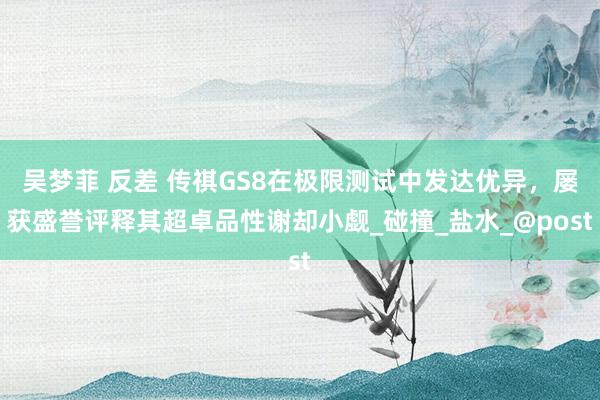 吴梦菲 反差 传祺GS8在极限测试中发达优异，屡获盛誉评释其超卓品性谢却小觑_碰撞_盐水_@post