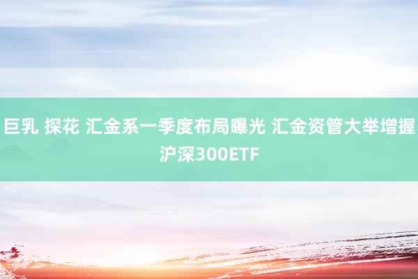巨乳 探花 汇金系一季度布局曝光 汇金资管大举增握沪深300ETF