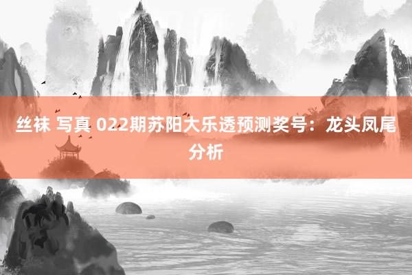 丝袜 写真 022期苏阳大乐透预测奖号：龙头凤尾分析